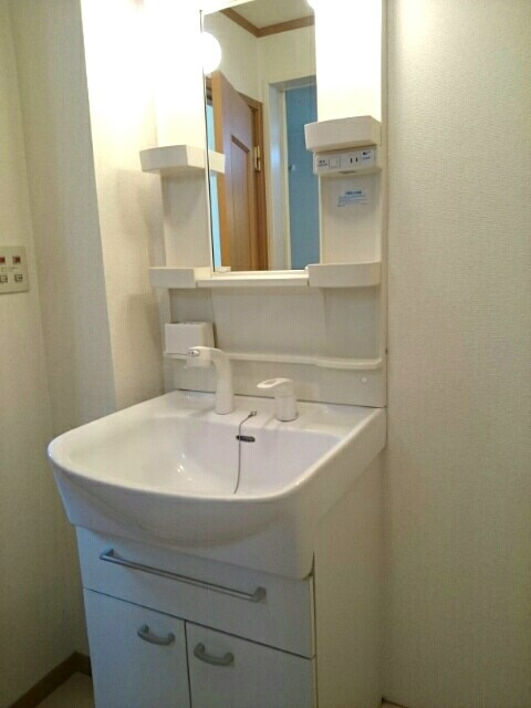 グリーンヒル三城Bの洗面所