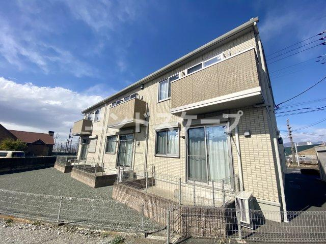 モン シュシュ カツラ