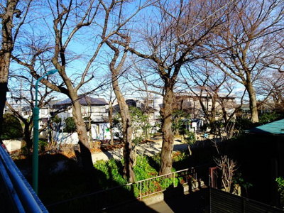 【展望】 | グリーンレーン桜上水