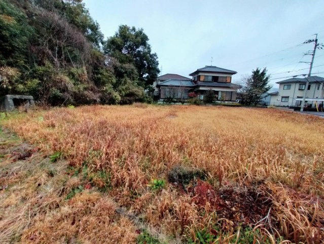 西条市下島山甲1999-11の外観