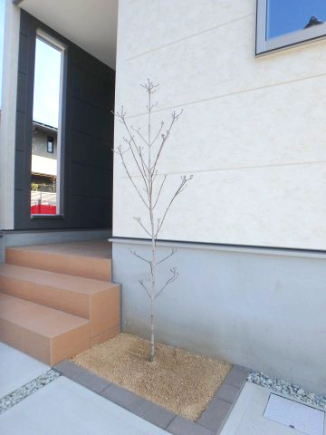 高倉台２丁目戸建のその他|シンボルツリーです