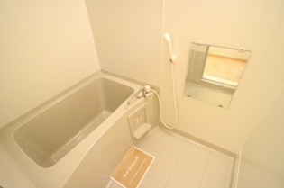 チ・グレイスの浴室