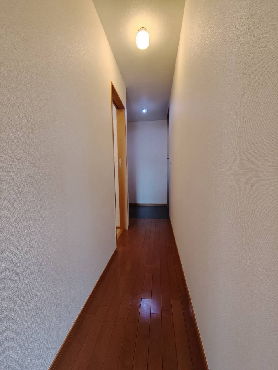 ルンドベルク丸山のその他