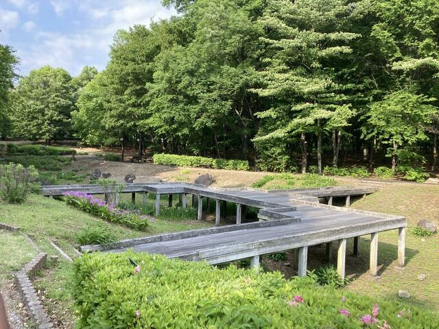 宇都宮市宝木町1丁目　207.00㎡　売地の周辺|とちぎ健康の森まで1337m