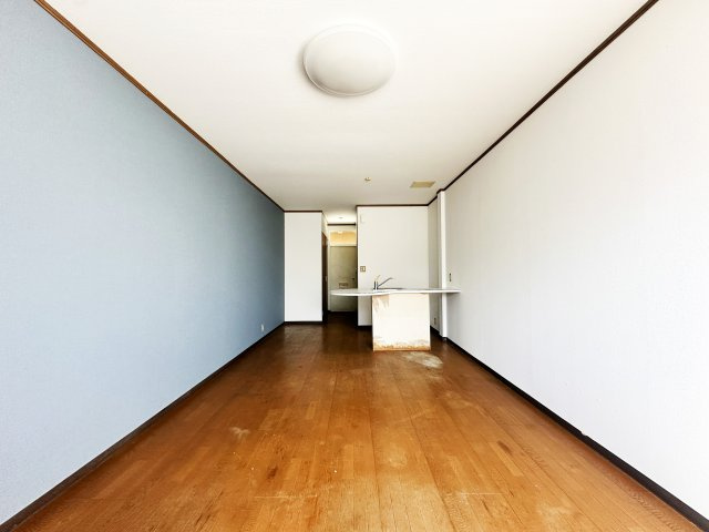 Corpo IWATANIのその他