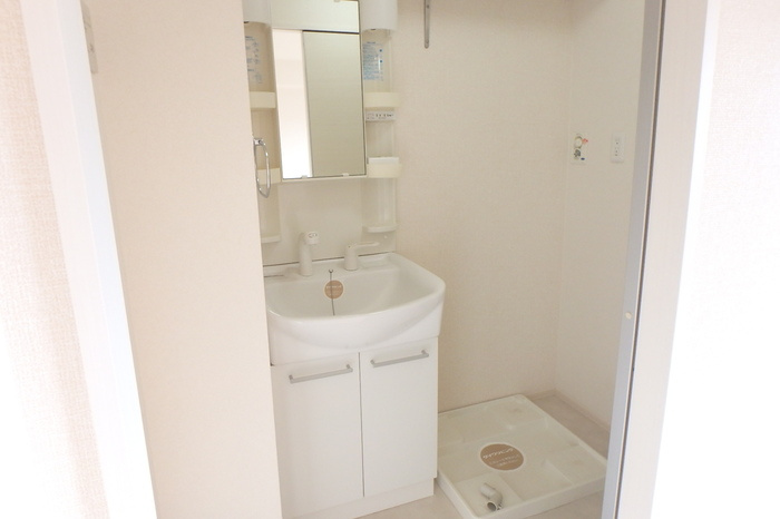 ジョイフラットの洗面所