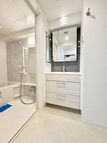 the platinum(ザ プラチナム)のその他