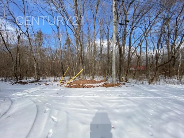 吾妻郡嬬恋村大字鎌原土地の外観