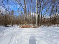 吾妻郡嬬恋村大字鎌原土地の画像