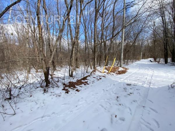 吾妻郡嬬恋村大字鎌原土地の前面道路含む現地写真