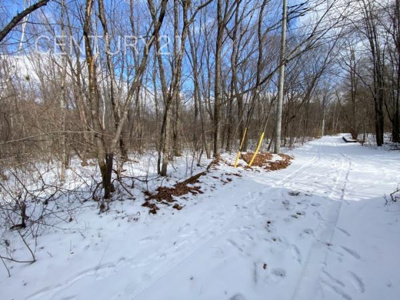 【前面道路含む現地写真】 | 吾妻郡嬬恋村大字鎌原土地