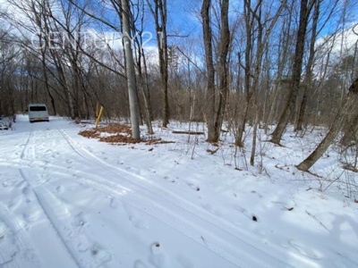 【前面道路含む現地写真】 | 吾妻郡嬬恋村大字鎌原土地