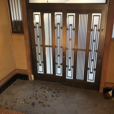 【玄関】 | 東大沼町三丁目中古戸建