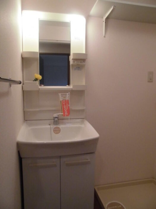 サニープレイスーi　Bの洗面所