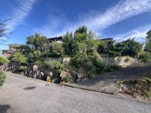 北葛城郡王寺町畠田６丁目【建築条件無し】【古家付】の画像