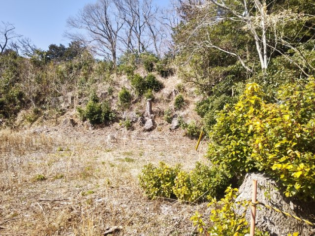 吉田　土地の周辺