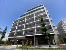 レスピール蓮根 の画像