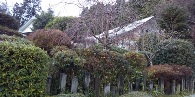 【外観】 | 大津市八屋戸2025-1　中古戸建