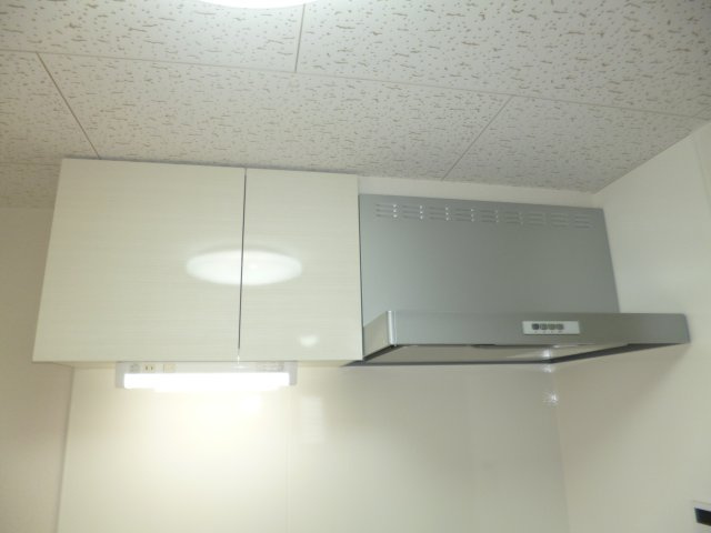 ビューティリメインＤのキッチン|吊戸