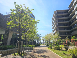 【周辺】 | グランアルト越谷レイクタウン | 敷地の東側遊歩道は、四季折々の花を咲かせ、季節の移り変わりを楽しめる空間が演出されている「シンフォニーアベニュー」本物件住戸からいつでも眺めることが可能です。