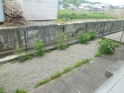 【庭】 | ロイヤルガーデン上牧Ａ棟