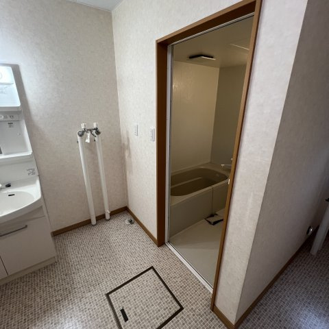 東町グレイスタウンＥの洗面所