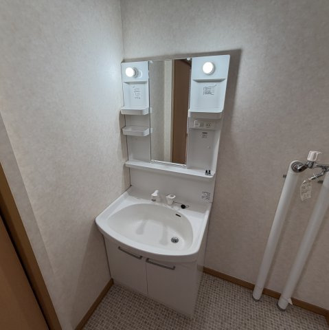 東町グレイスタウンＥの洗面所