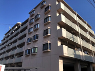 ブルジョン7の画像