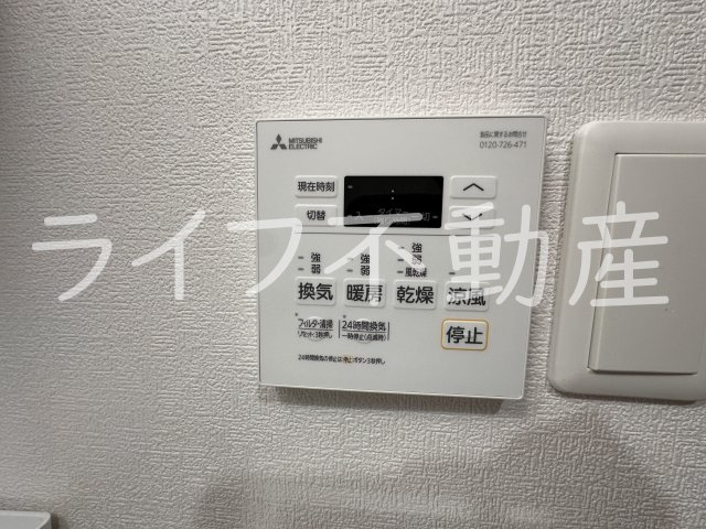 F asecia cerのその他
