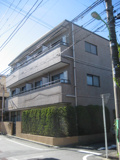 パピヨン福嶋の画像
