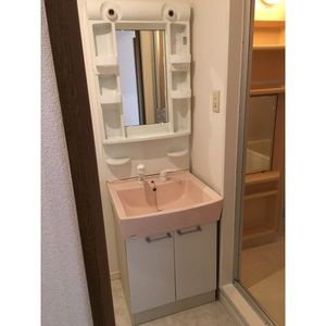 ハーモニーサザンの洗面所