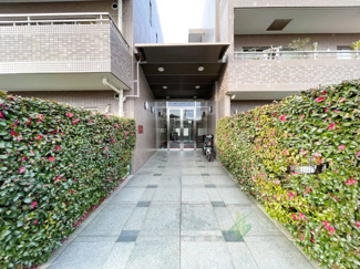  | テラス久我山 | エントランス