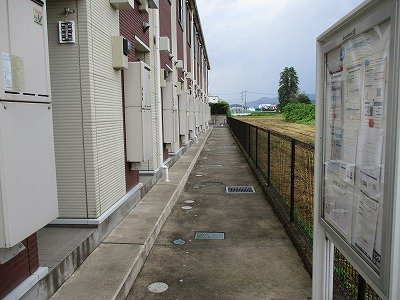 レオネクストひまわりのその他