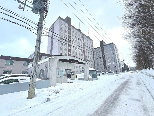 ロピア平岸の外観|地下鉄南北線「南平岸」駅まで徒歩13分！