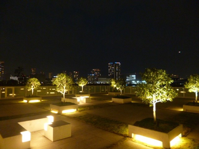 夜もおしゃれなマンションです♪