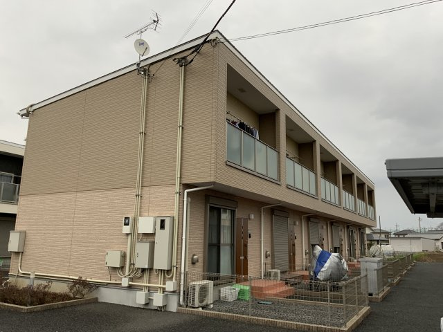プラシードの展望