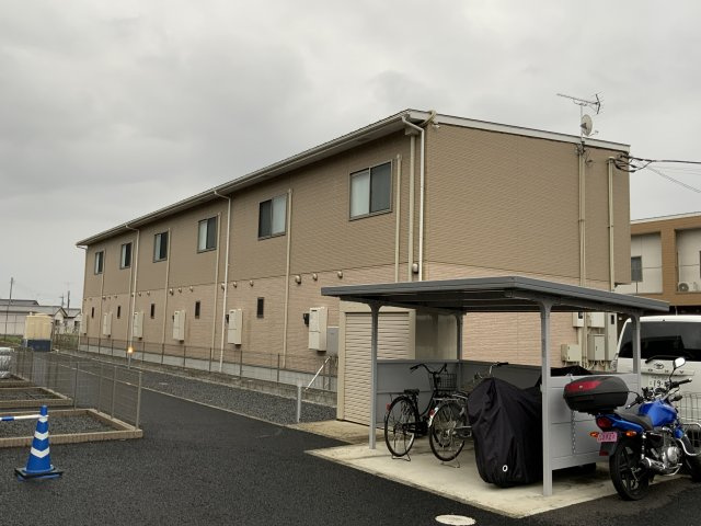プラシードのその他
