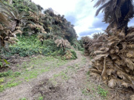 笠利町　売り土地の画像