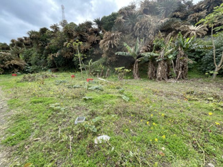 【土地図】 | 笠利町　売り土地