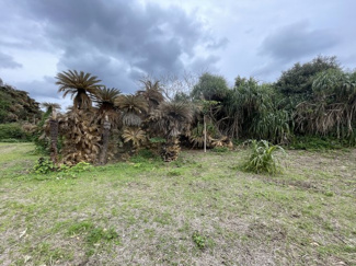  | 笠利町　売り土地