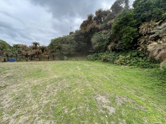  | 笠利町　売り土地