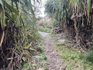  | 笠利町　売り土地