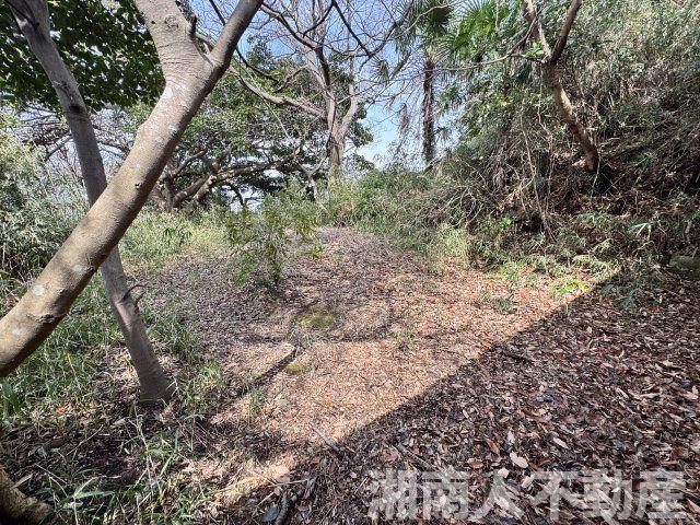 鎌倉市鎌倉山１丁目売地の外観|外観です