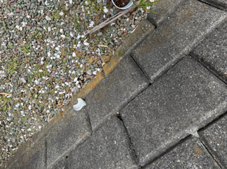 【外観】 | 千葉県君津市北子安2-19-15