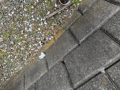 【外観】 | 千葉県君津市北子安2-19-15