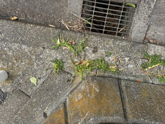 【外観】 | 千葉県君津市北子安2-19-15