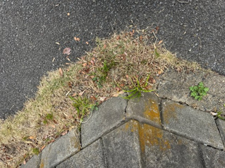 【外観】 | 千葉県君津市北子安2-19-15