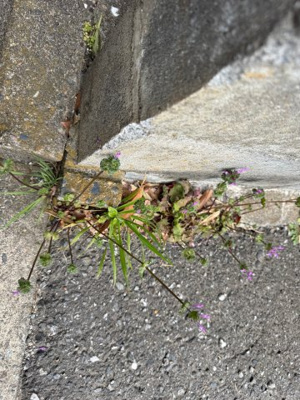 【外観】 | 千葉県君津市北子安2-19-15