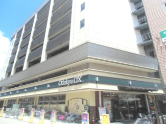 【周辺】 | 鶴川２丁目団地 | 鶴川駅前スーパー　オダキューOXです。