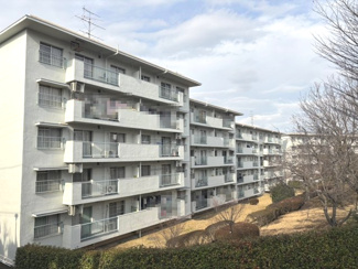 【外観】 | 鶴川２丁目団地 | 外観です。
管理の行き届いた敷地内は緑が多く癒されます♪